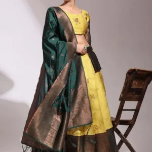 Woven-Design Lehenga Cholis