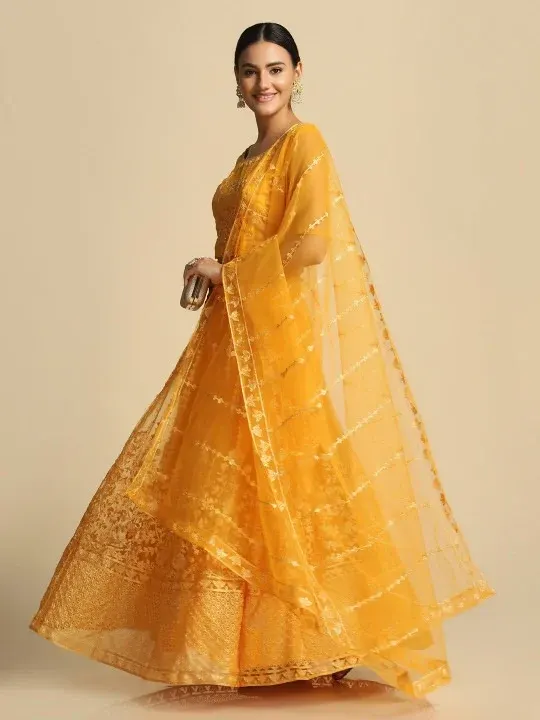 Embroidered Lehenga Cholis